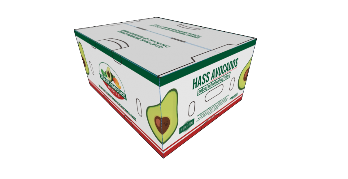 Avocat Hass from Mexique